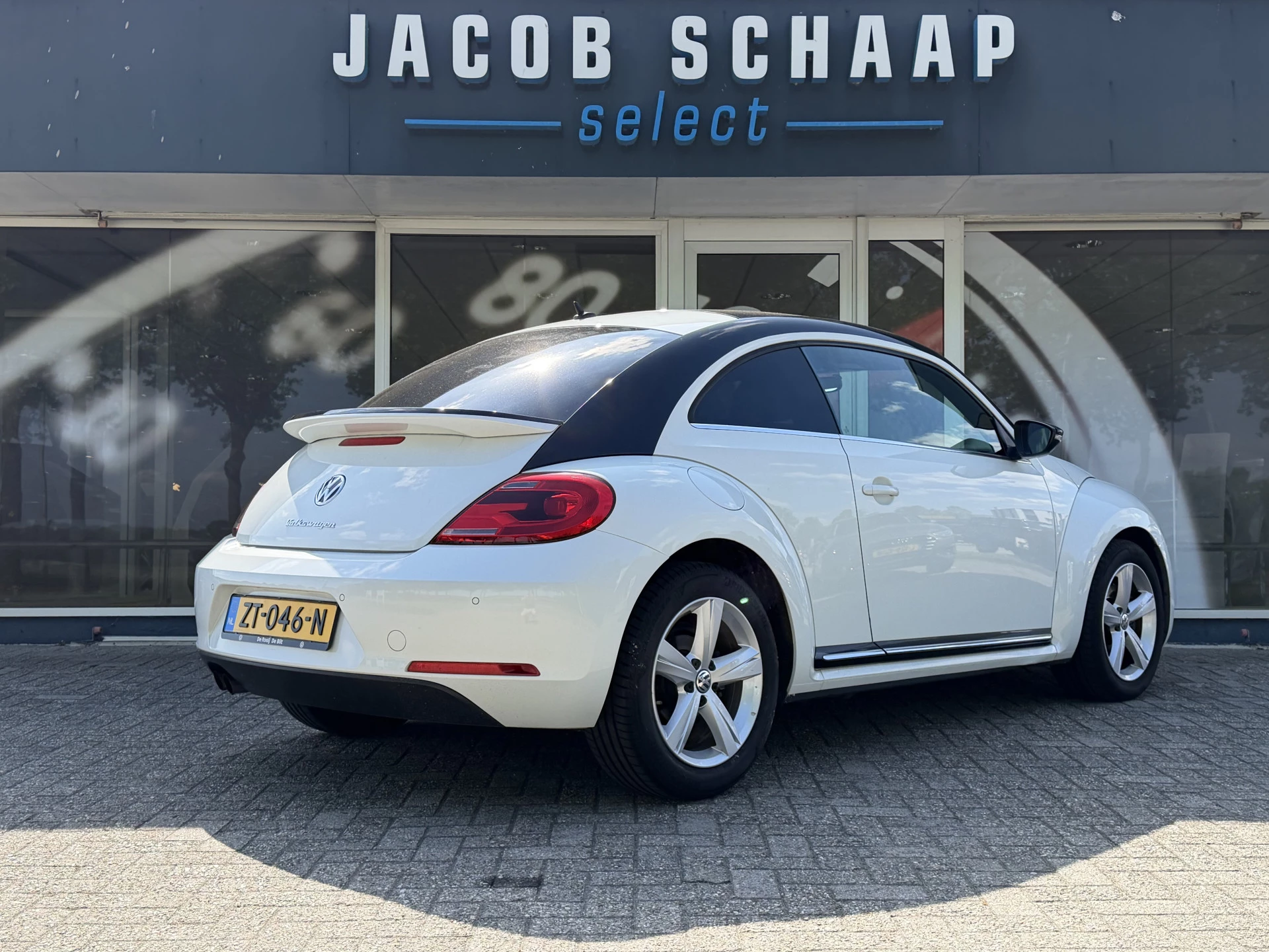 Hoofdafbeelding Volkswagen Beetle