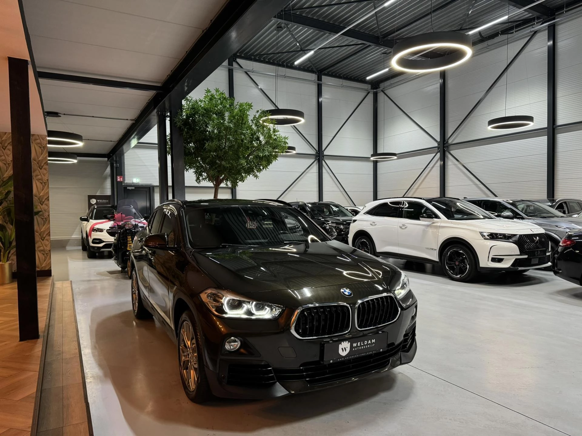 Hoofdafbeelding BMW X2