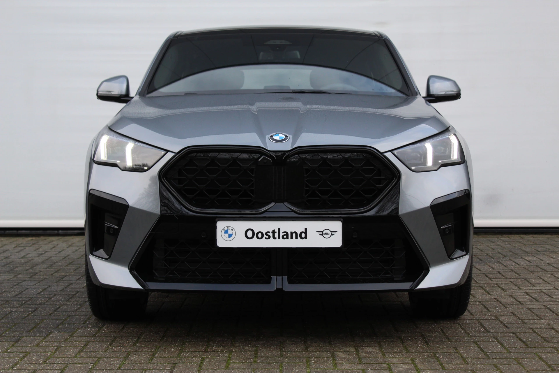 Hoofdafbeelding BMW X2