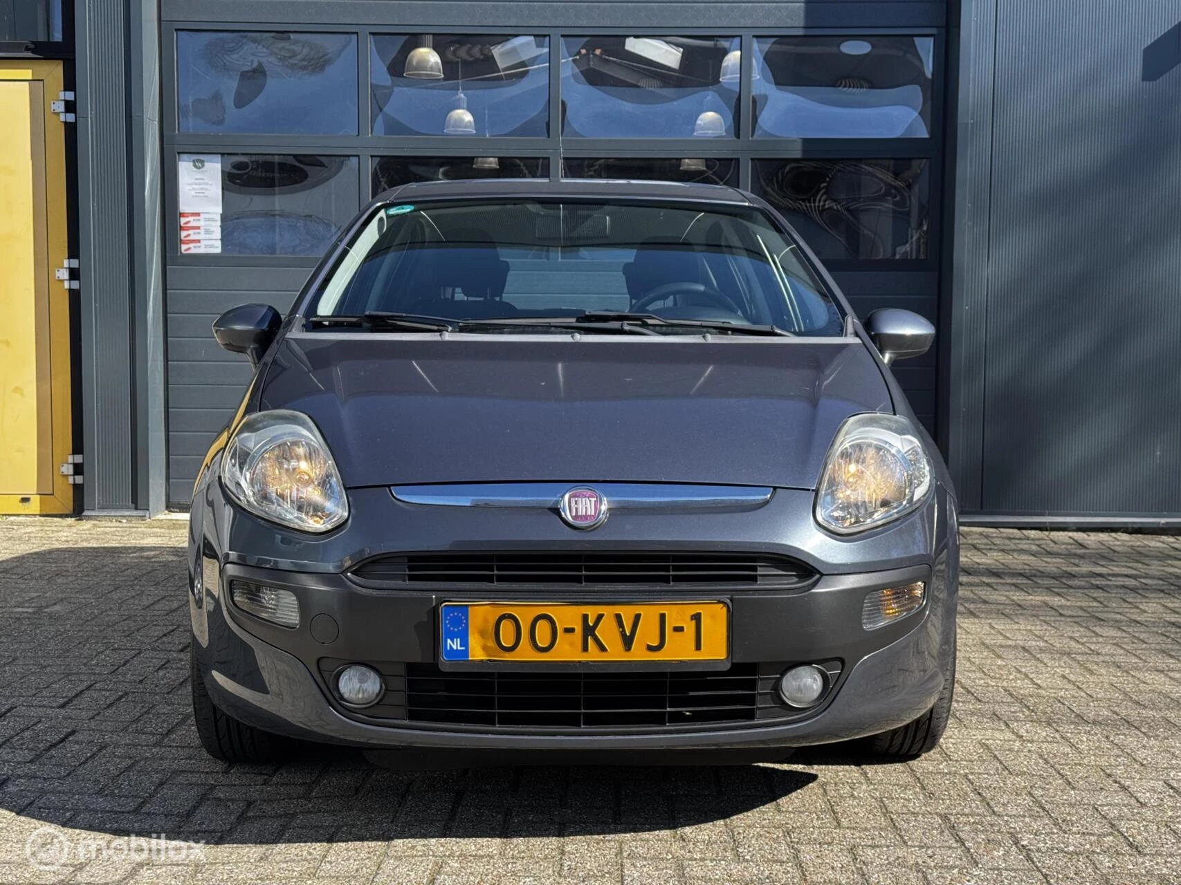 Hoofdafbeelding Fiat Punto