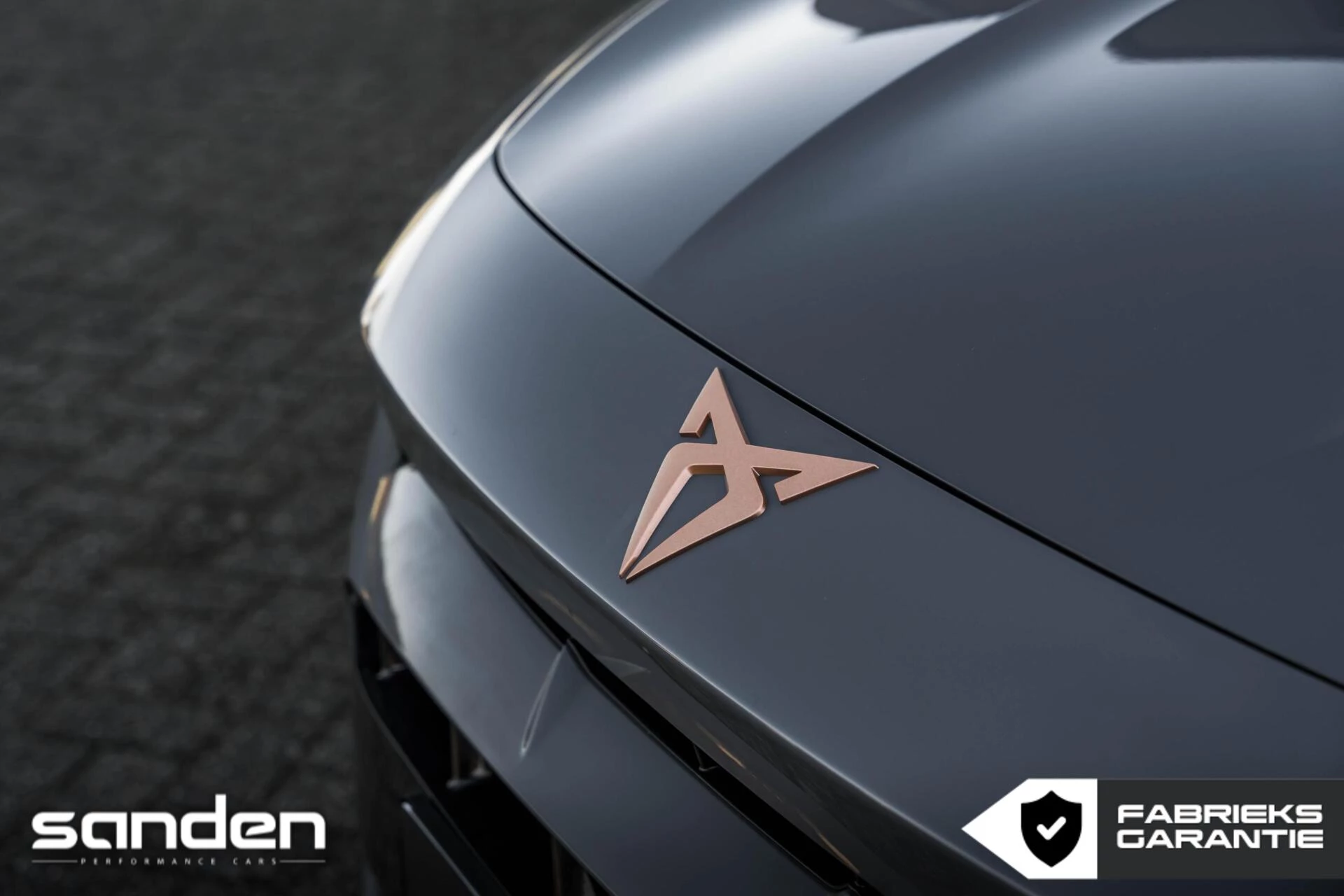 Hoofdafbeelding CUPRA Formentor