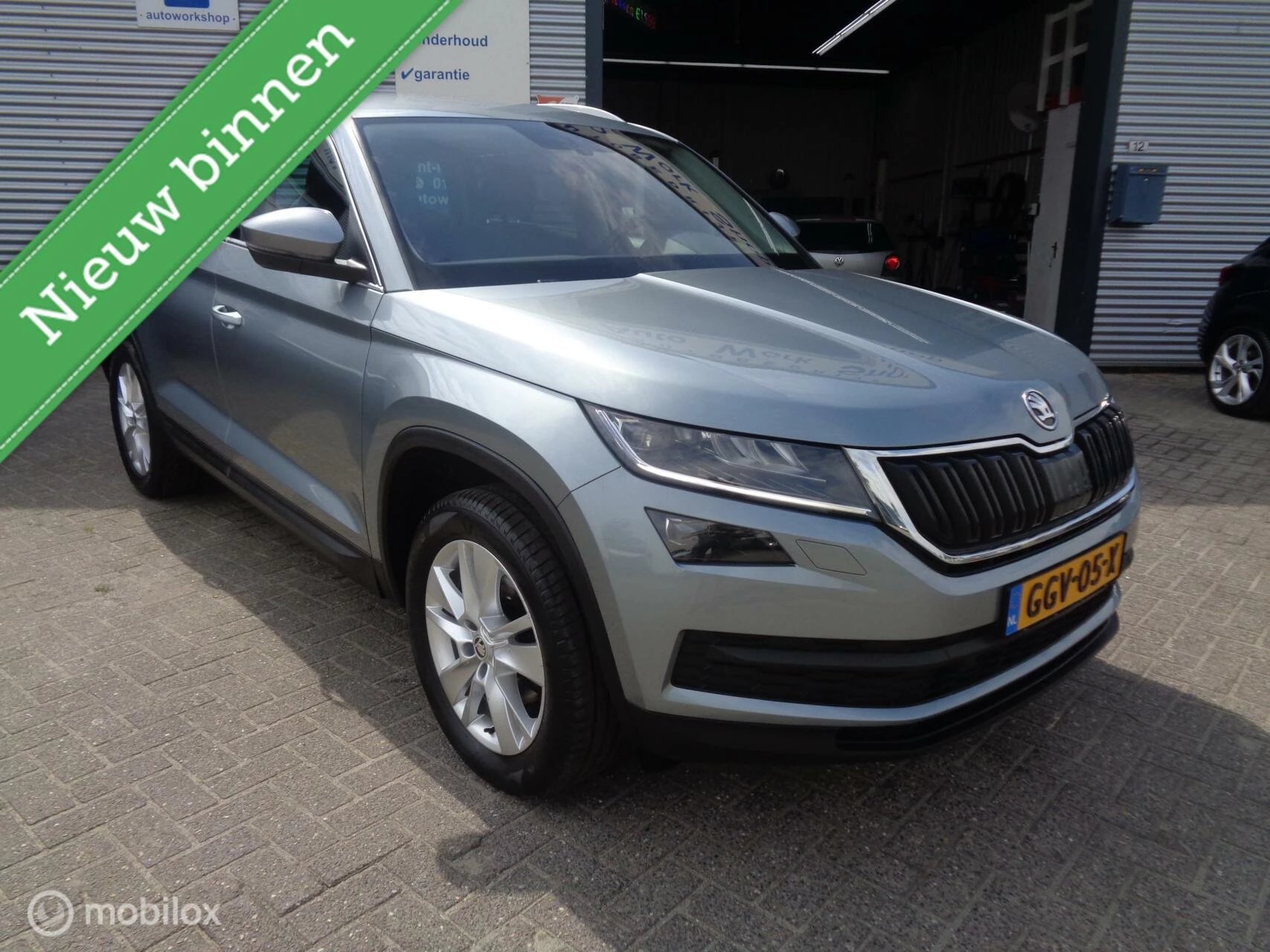 Hoofdafbeelding Škoda Kodiaq