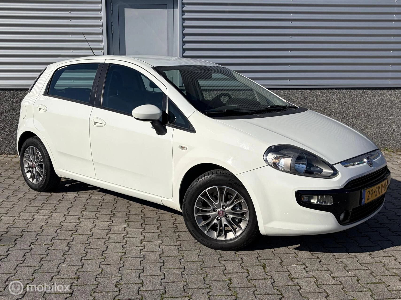 Hoofdafbeelding Fiat Punto