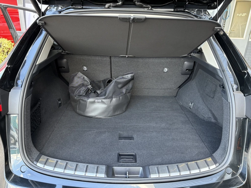 Hoofdafbeelding Lexus NX