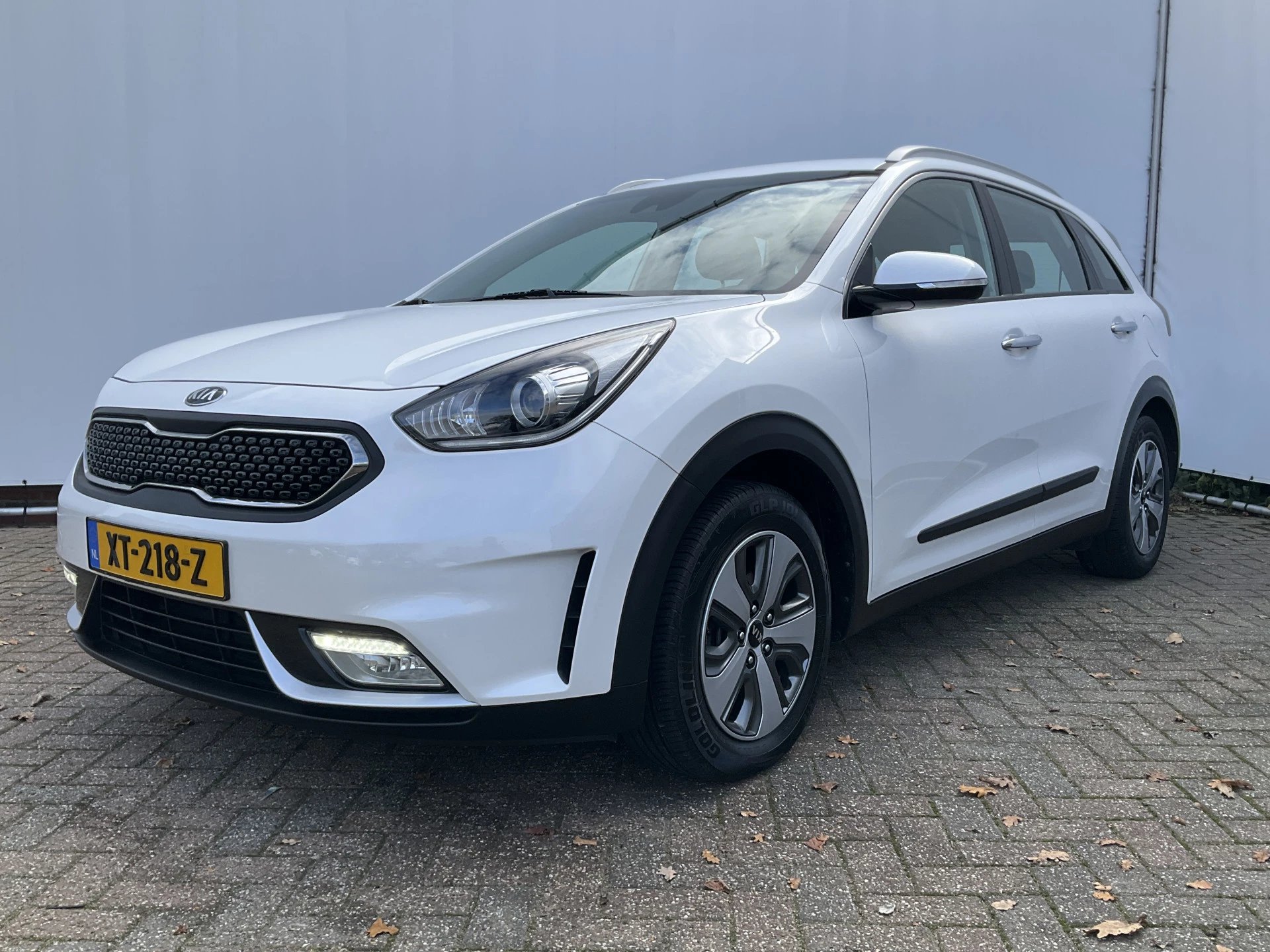 Hoofdafbeelding Kia Niro