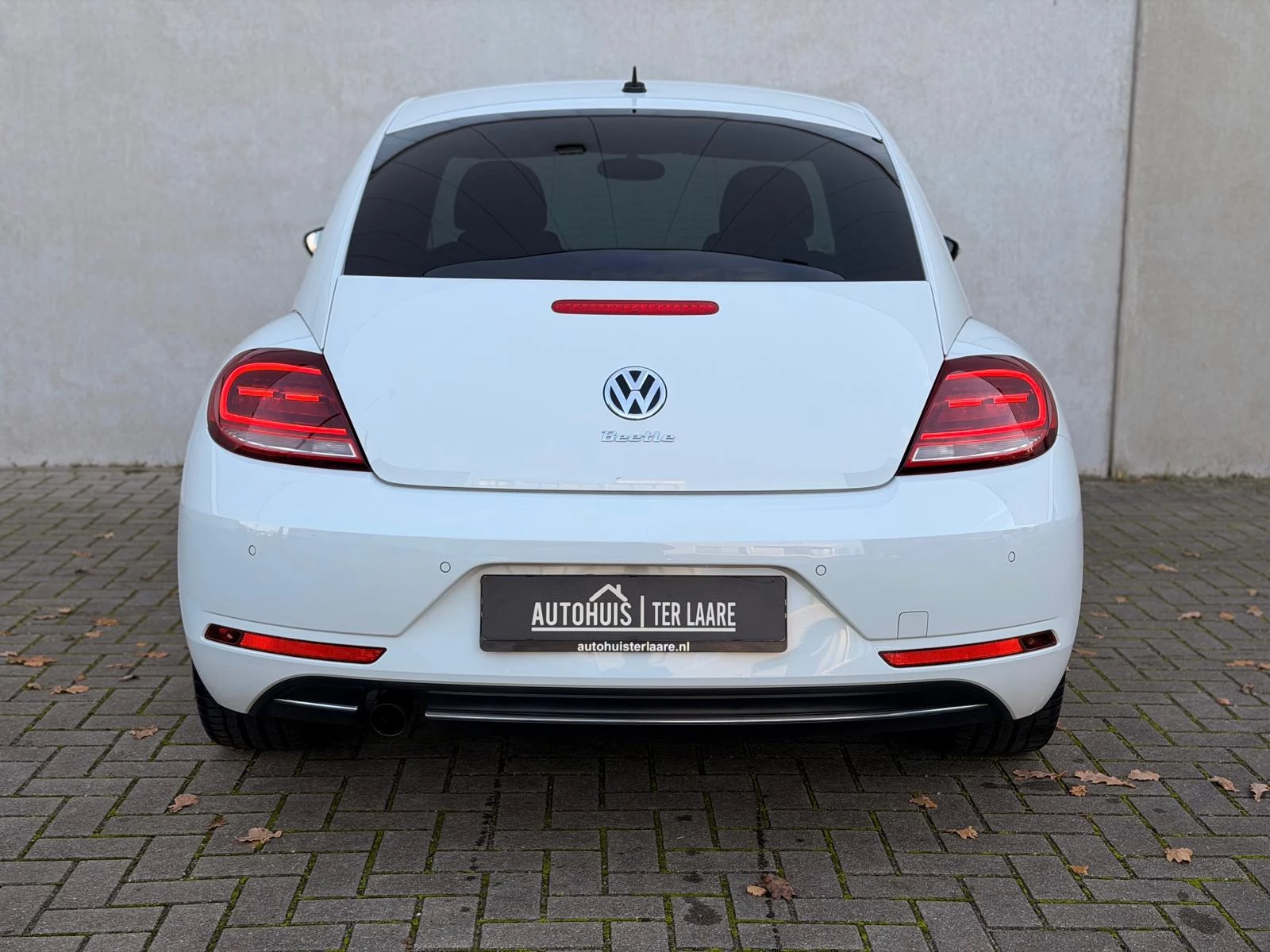 Hoofdafbeelding Volkswagen Beetle