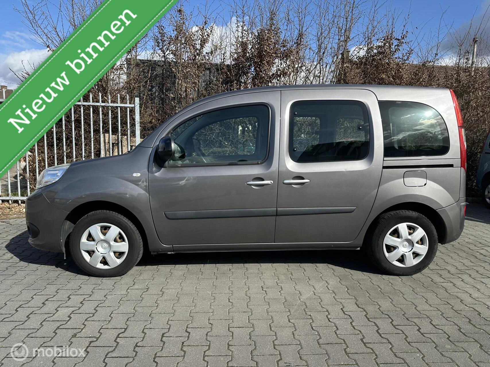 Hoofdafbeelding Renault Kangoo