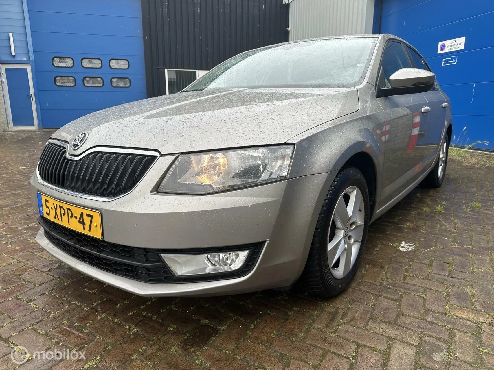 Hoofdafbeelding Škoda Octavia