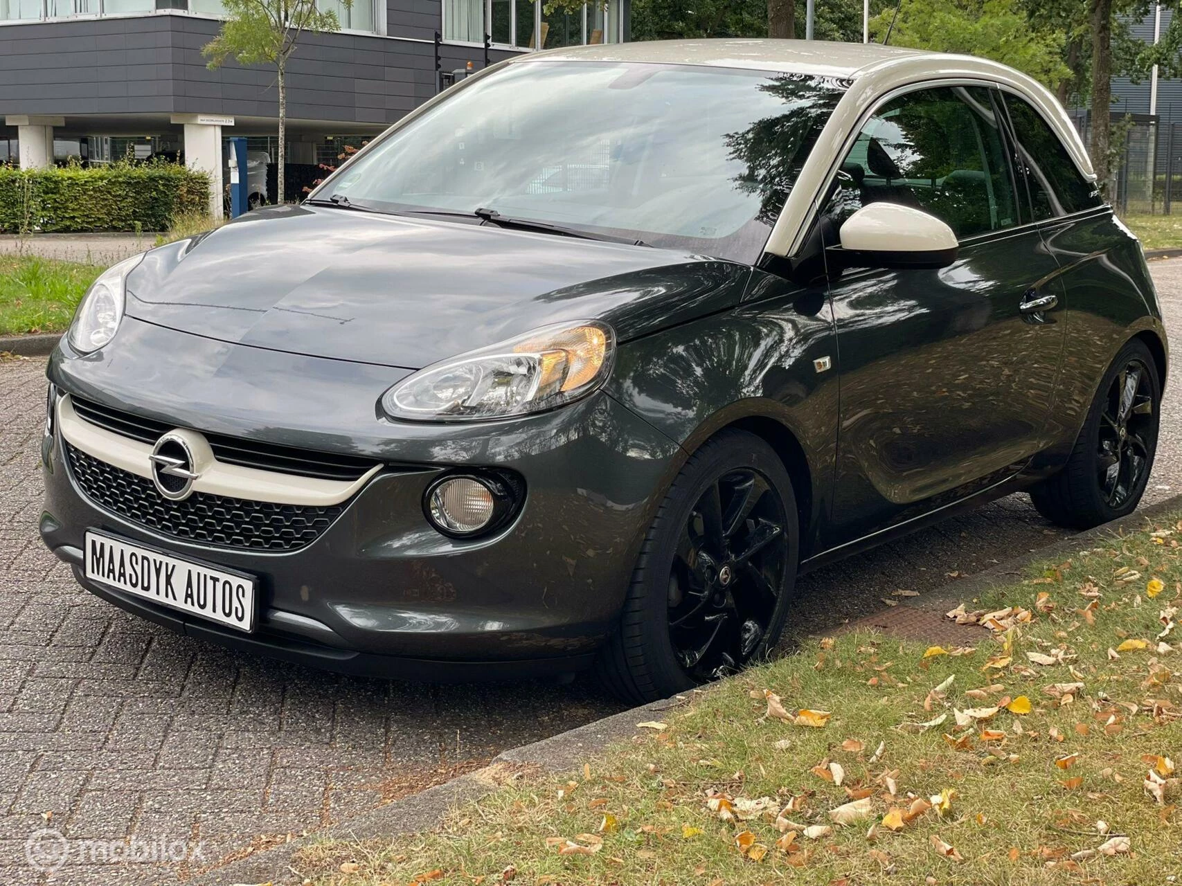 Hoofdafbeelding Opel ADAM