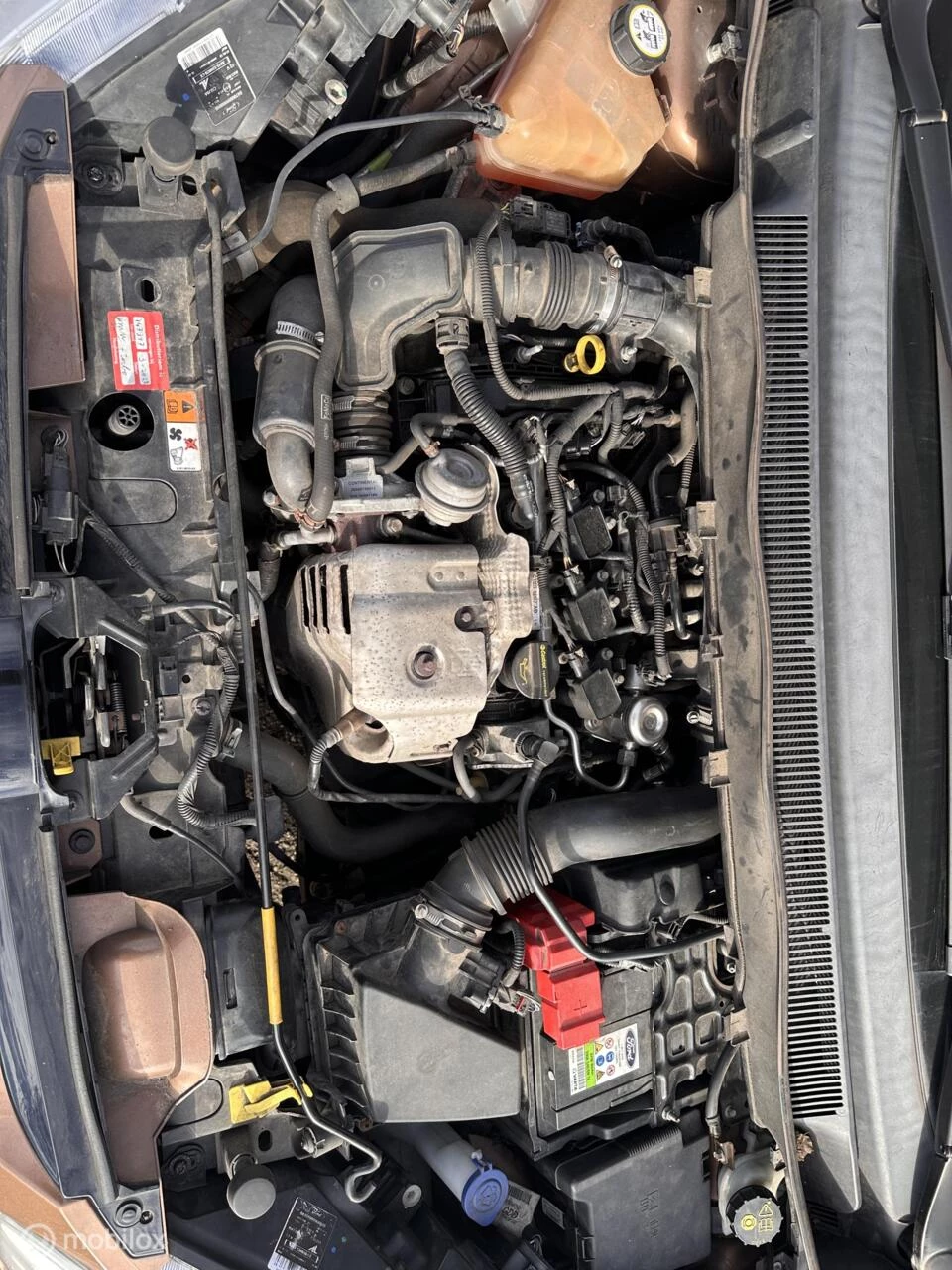 Hoofdafbeelding Ford B-MAX