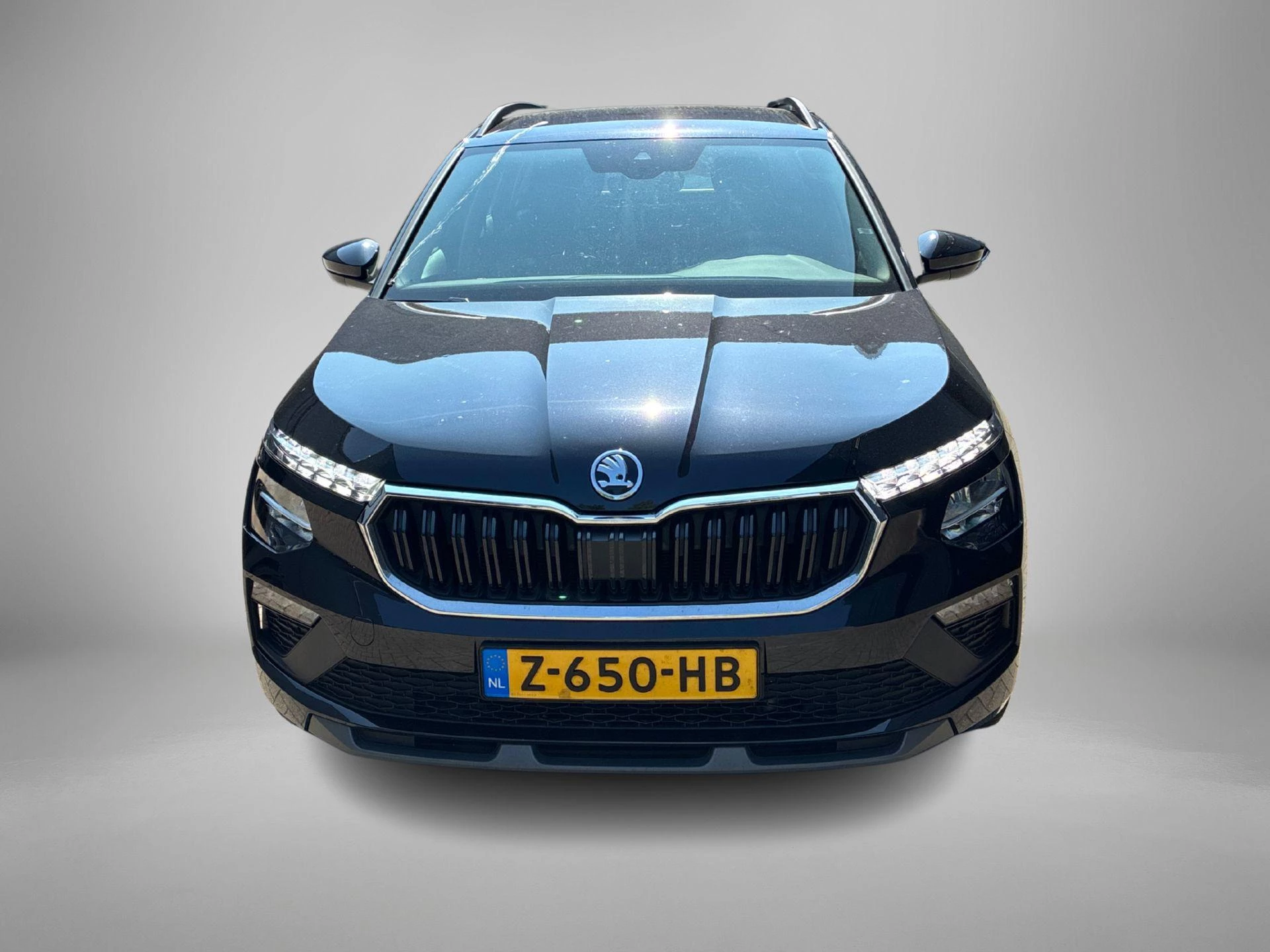 Hoofdafbeelding Škoda Kamiq