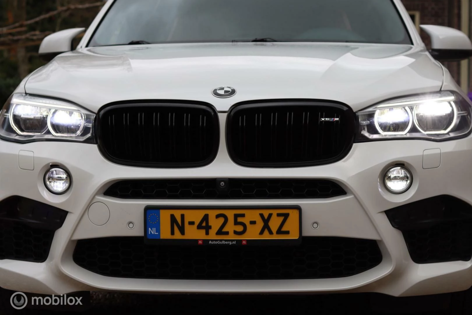 Hoofdafbeelding BMW X5