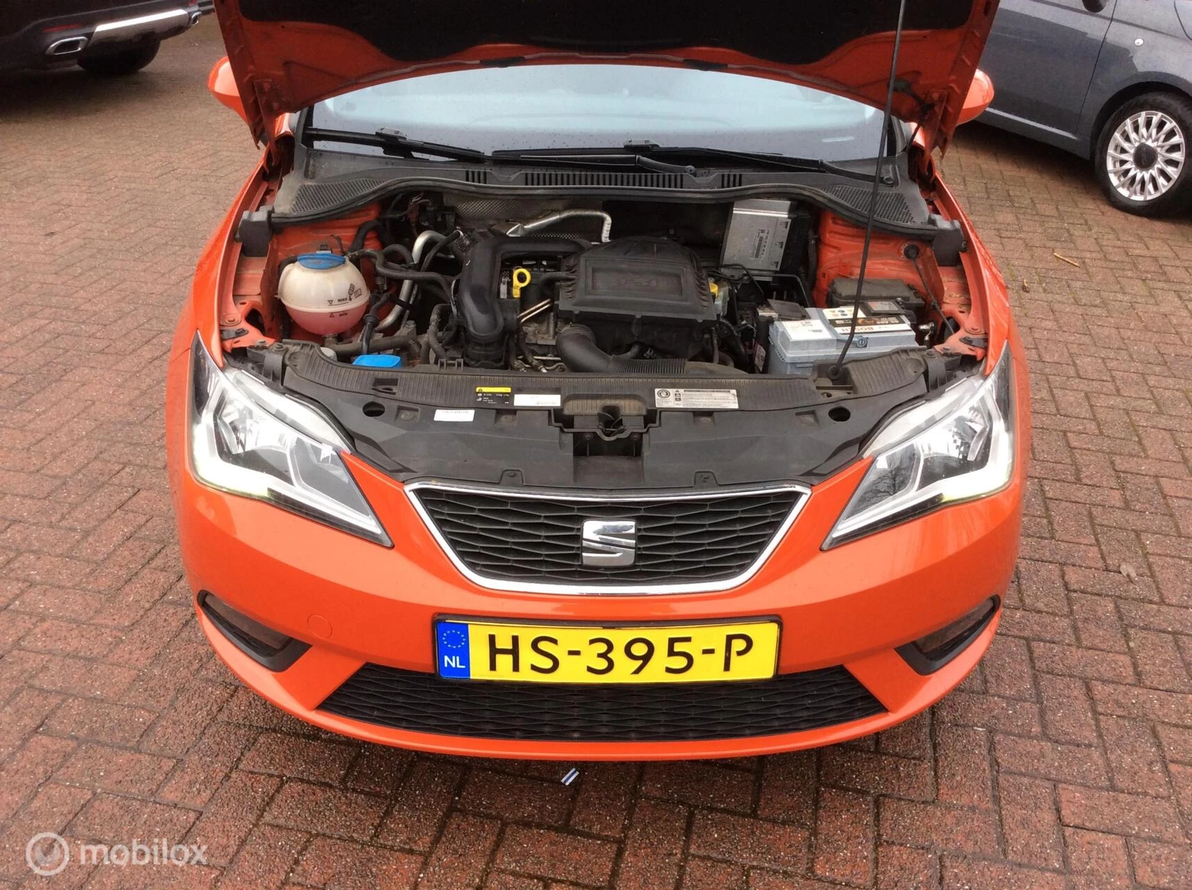Hoofdafbeelding SEAT Ibiza