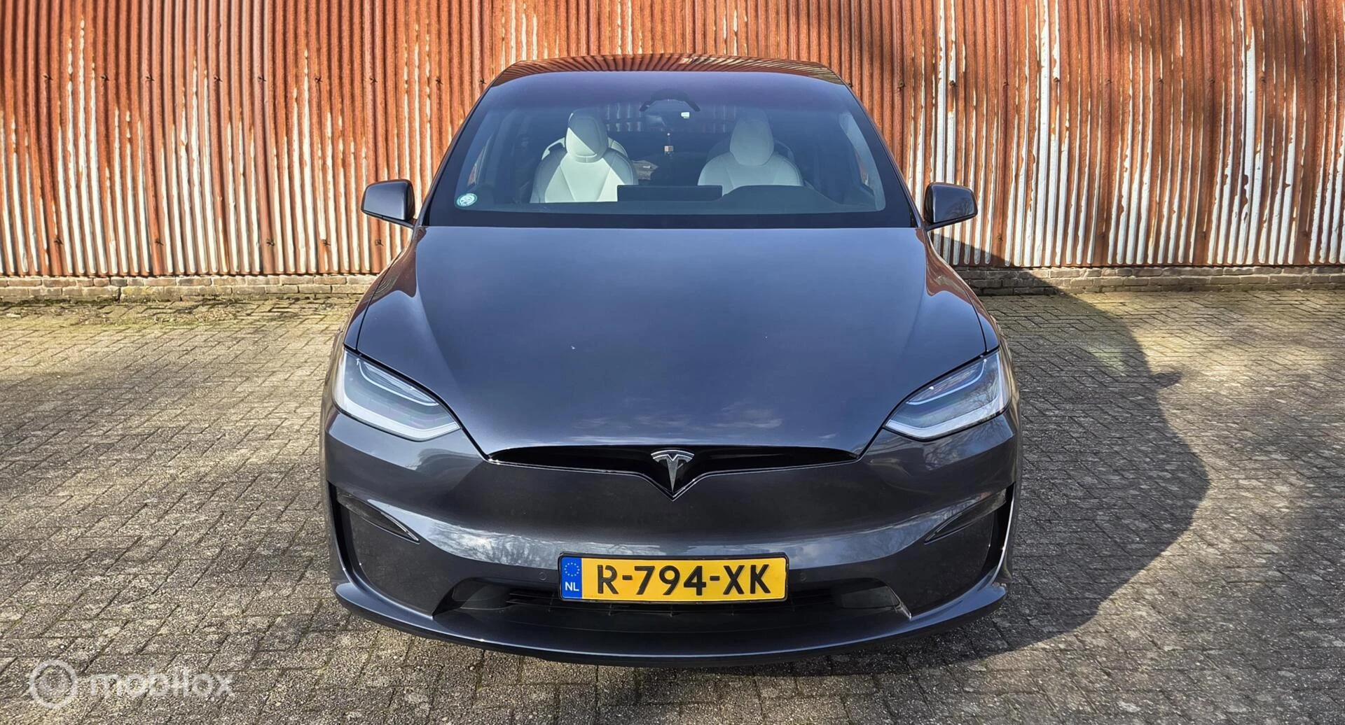 Hoofdafbeelding Tesla Model X