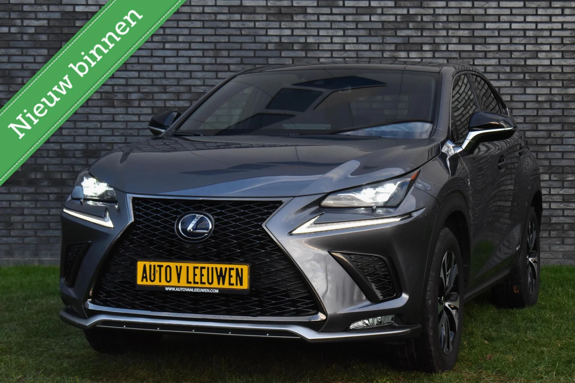 Hoofdafbeelding Lexus NX