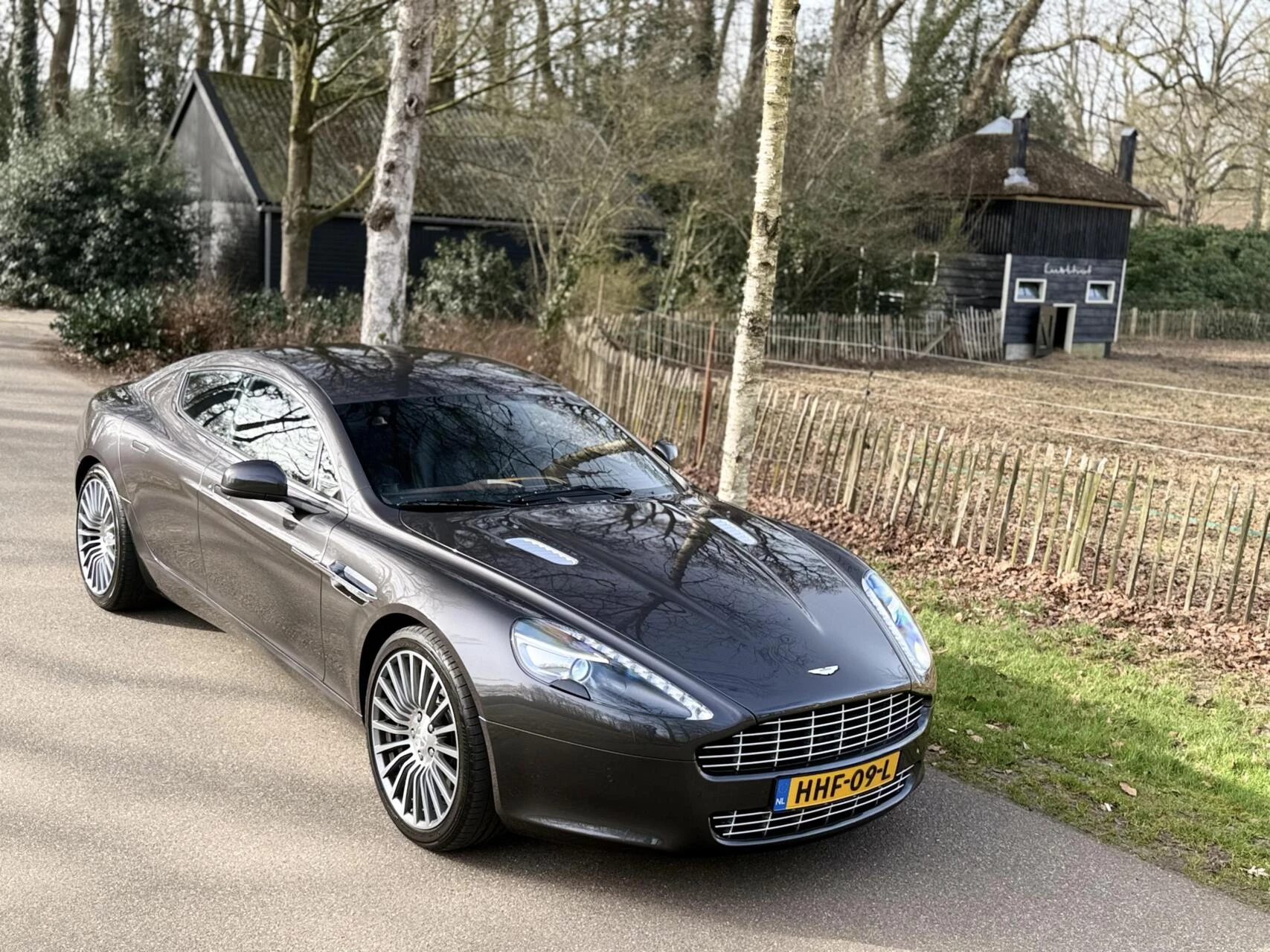 Hoofdafbeelding Aston Martin Rapide