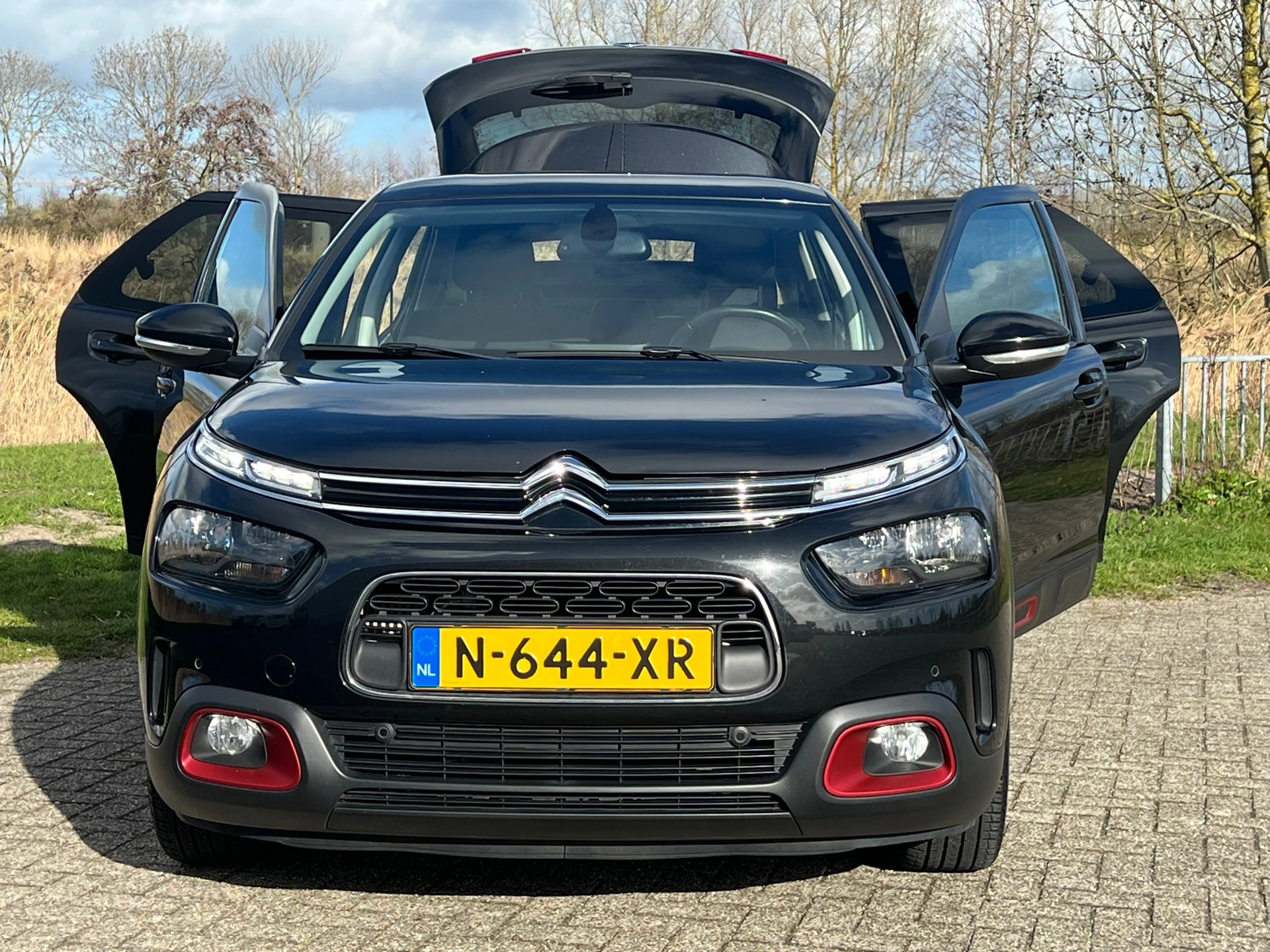 Hoofdafbeelding Citroën C4 Cactus
