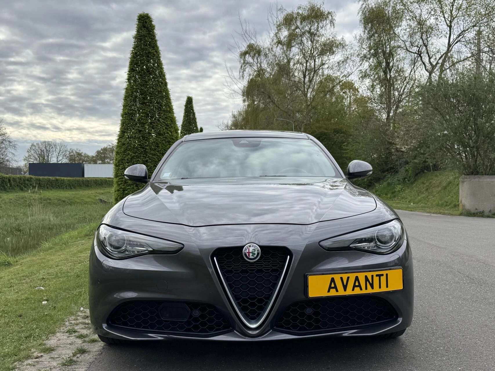 Hoofdafbeelding Alfa Romeo Giulia