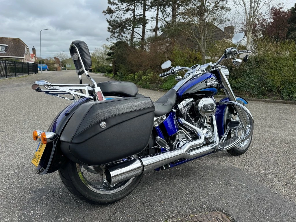 Hoofdafbeelding Harley-Davidson Softail