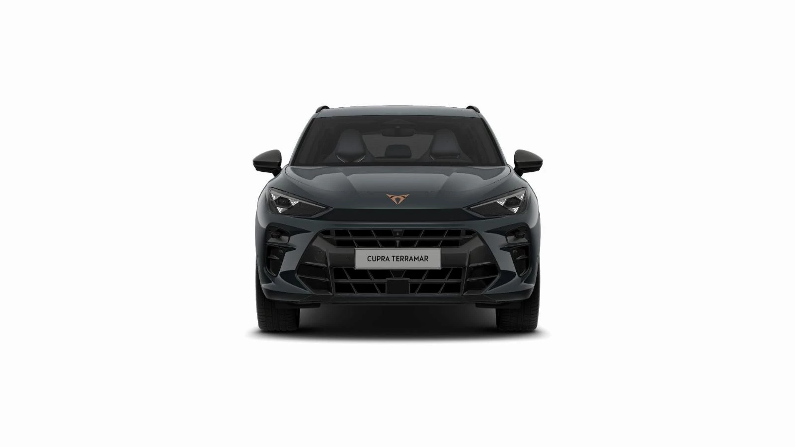 Hoofdafbeelding CUPRA Terramar