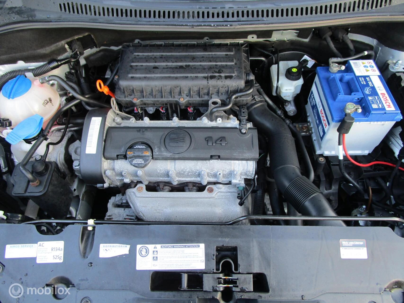 Hoofdafbeelding SEAT Altea