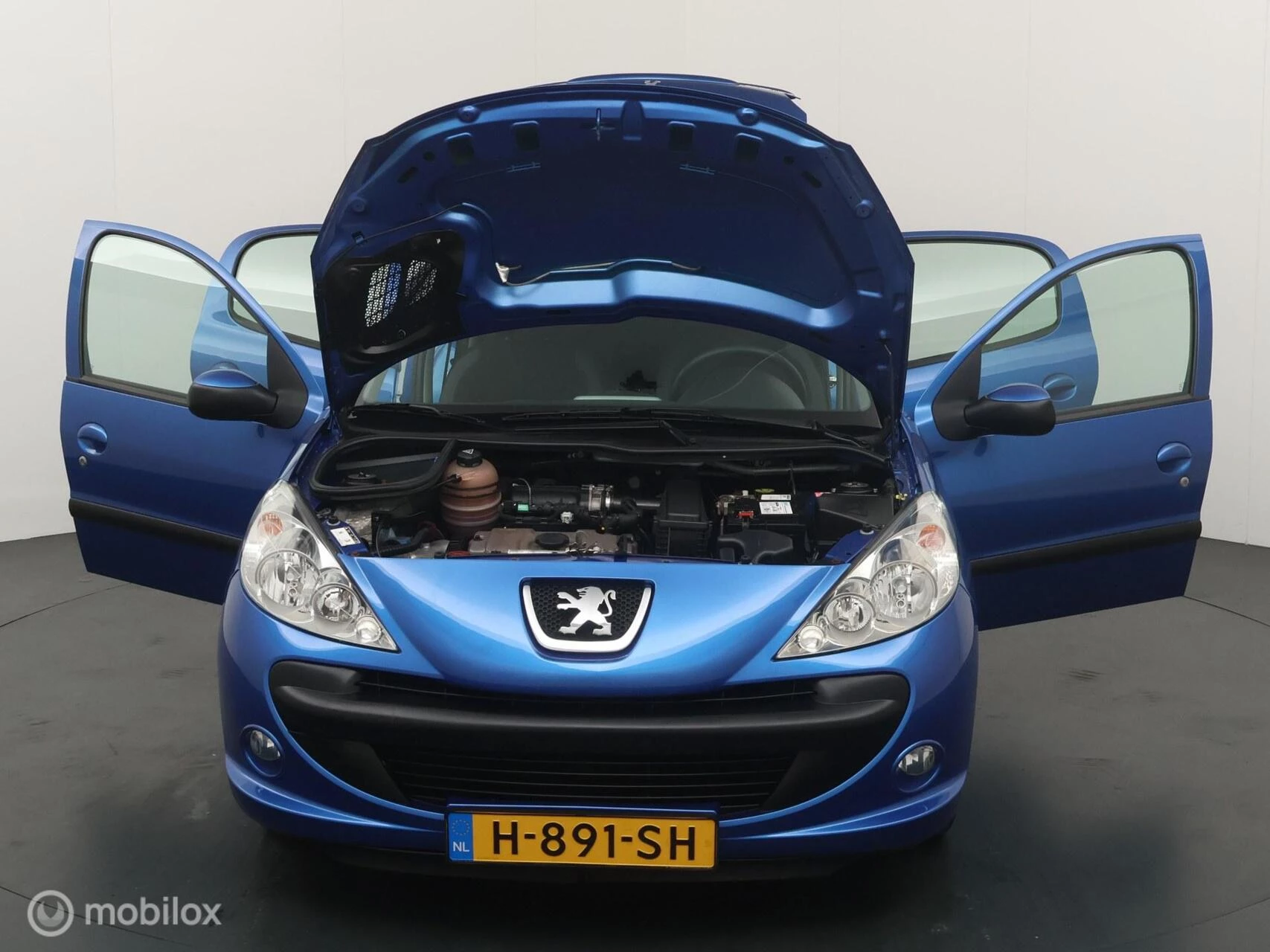 Hoofdafbeelding Peugeot 206