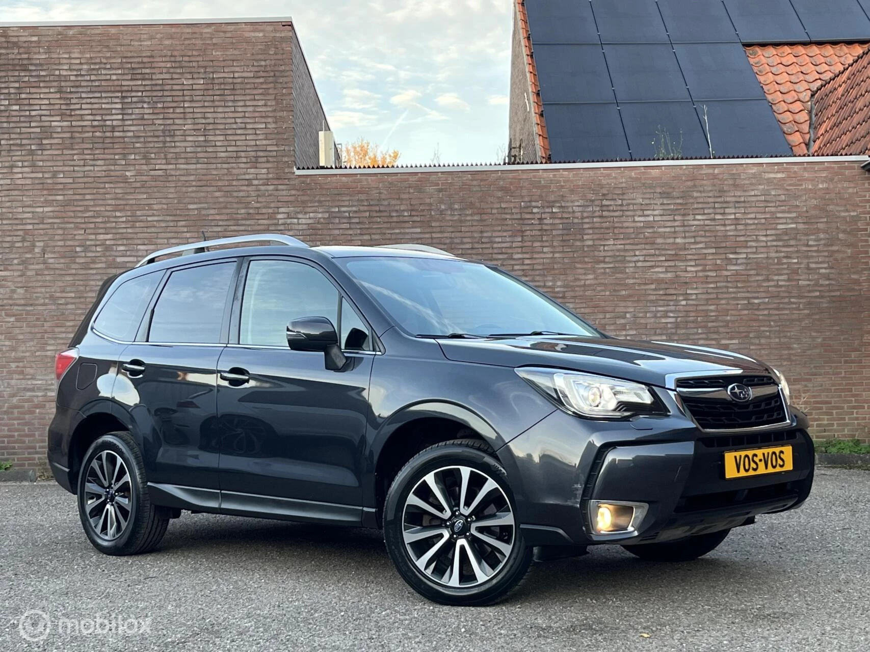 Hoofdafbeelding Subaru Forester