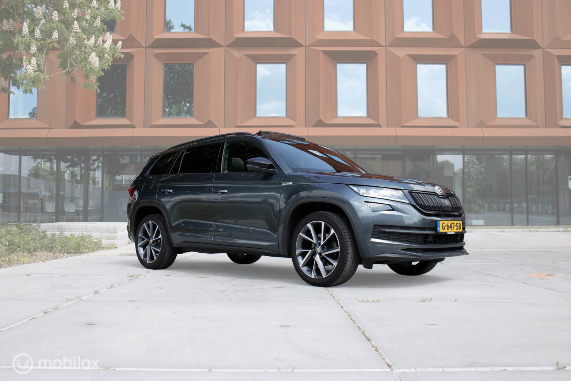 Hoofdafbeelding Škoda Kodiaq