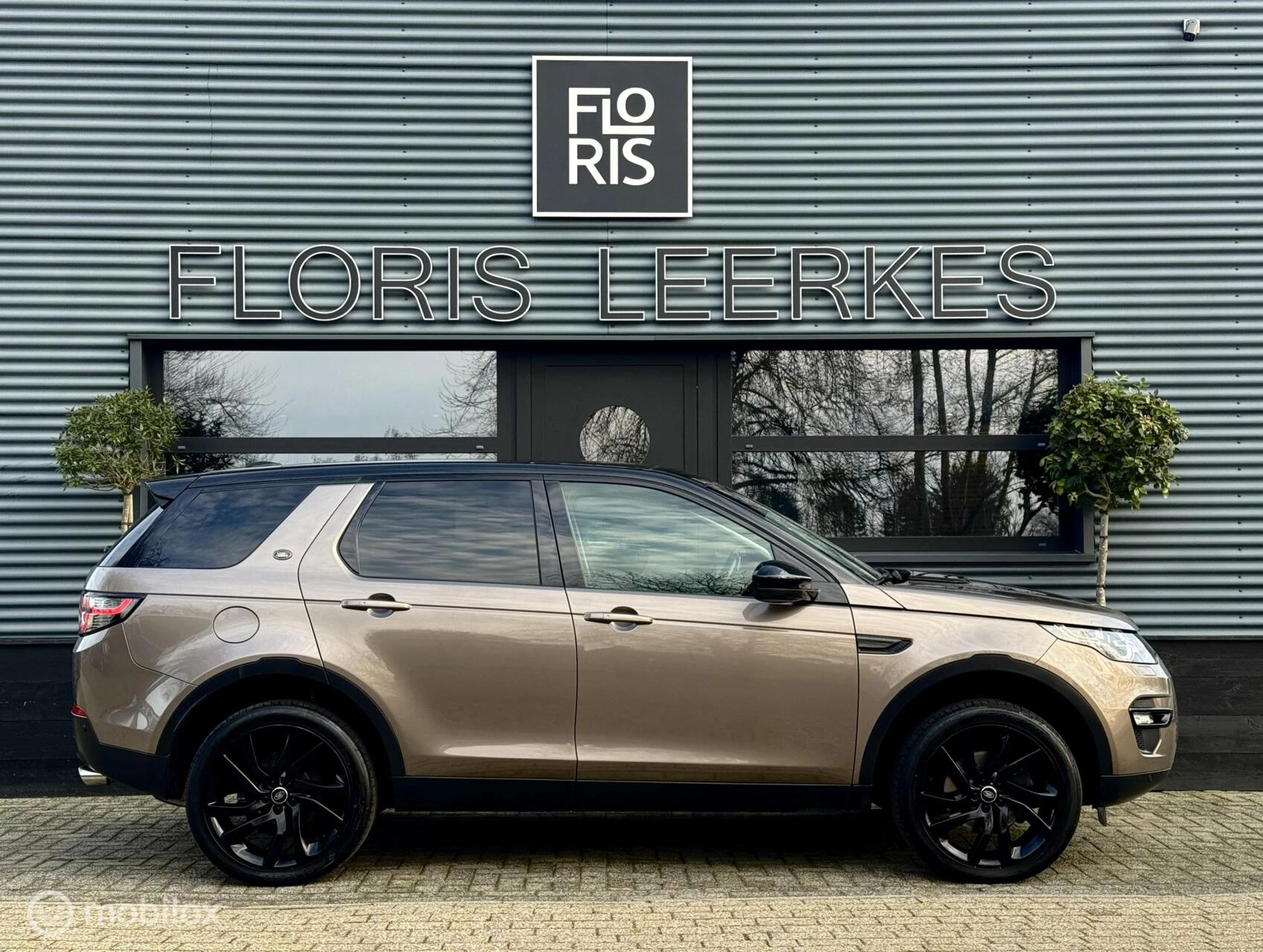 Hoofdafbeelding Land Rover Discovery Sport