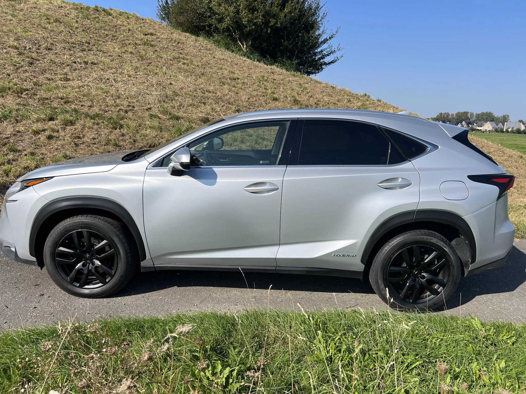 Hoofdafbeelding Lexus NX