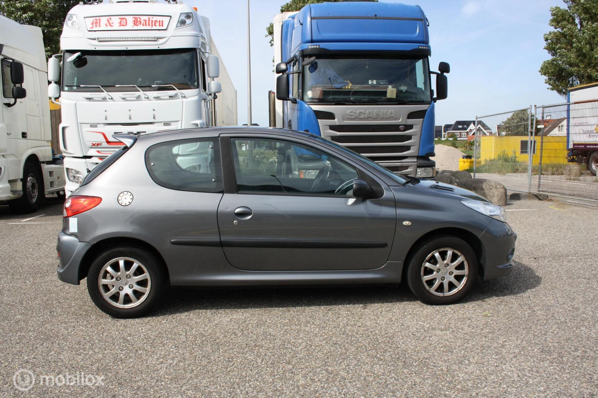 Hoofdafbeelding Peugeot 206