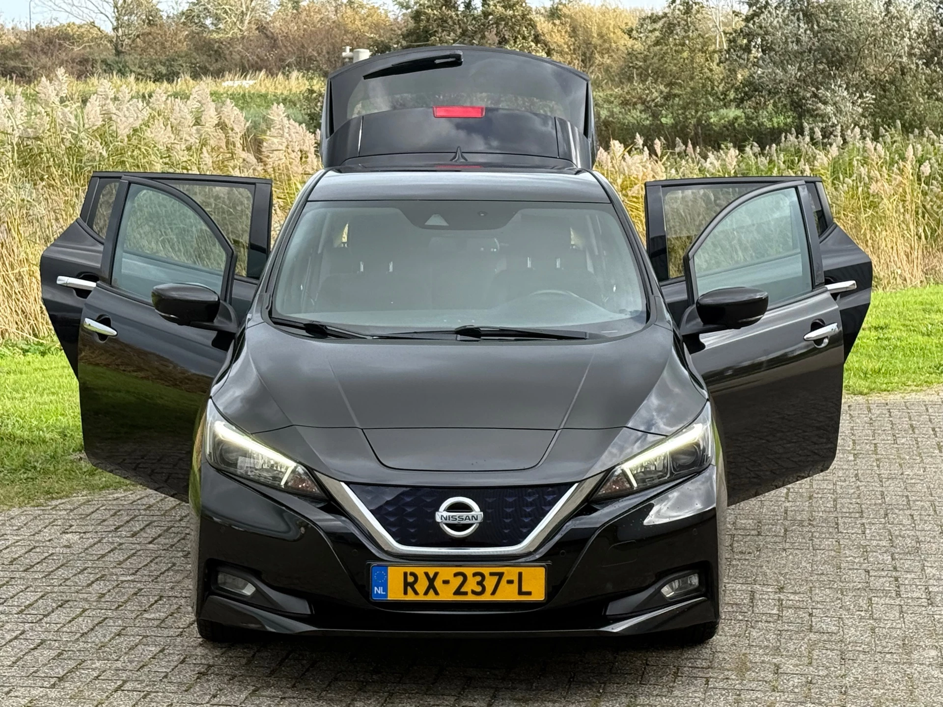 Hoofdafbeelding Nissan Leaf