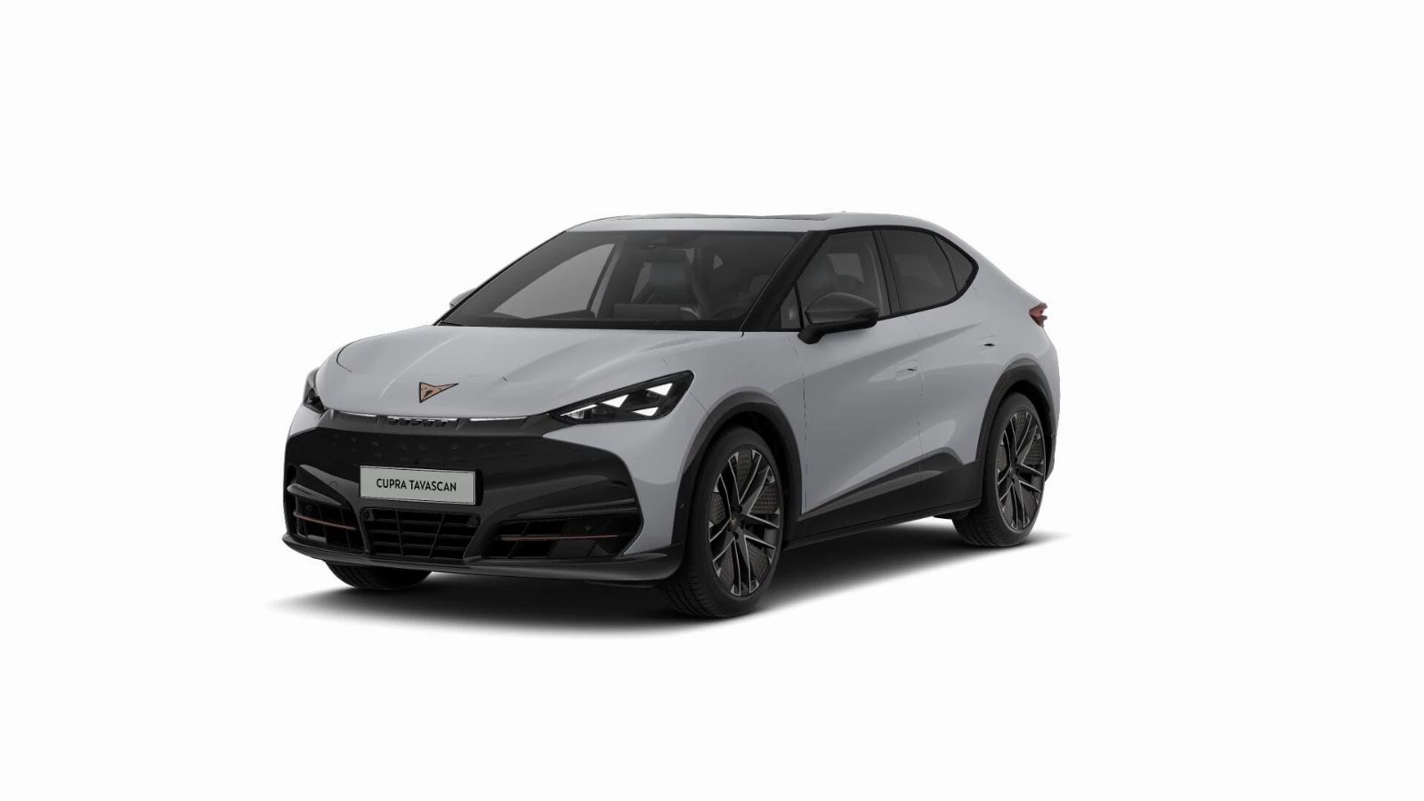 Hoofdafbeelding CUPRA Tavascan