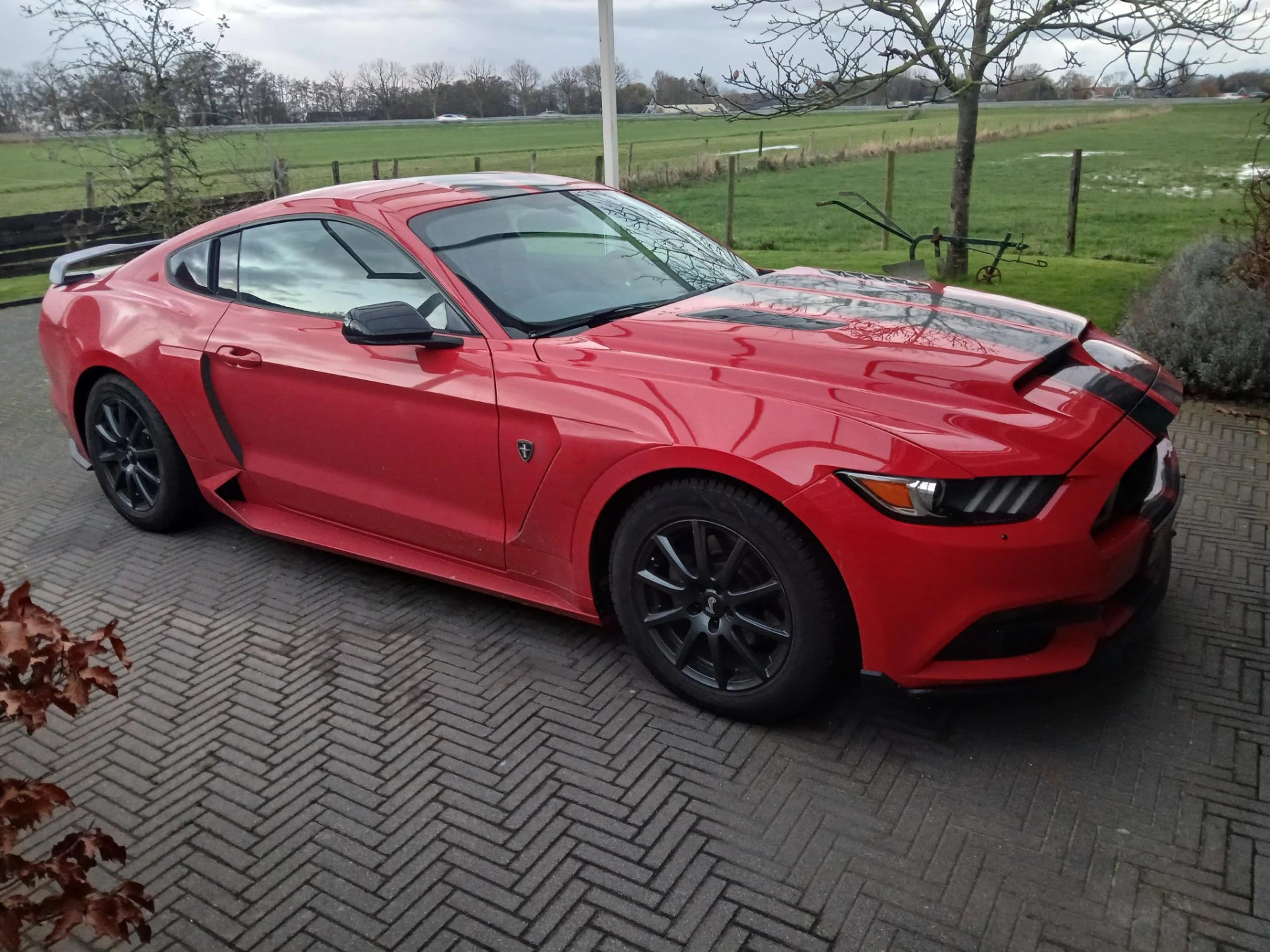 Hoofdafbeelding Ford Mustang