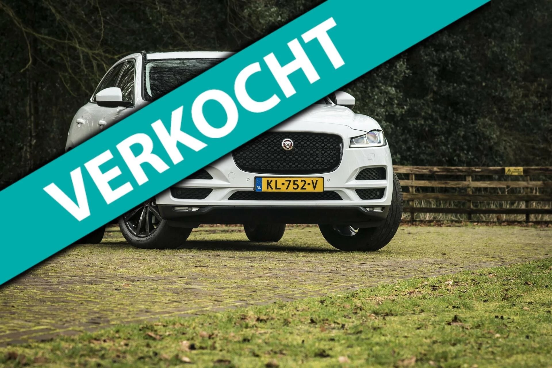 Hoofdafbeelding Jaguar F-PACE