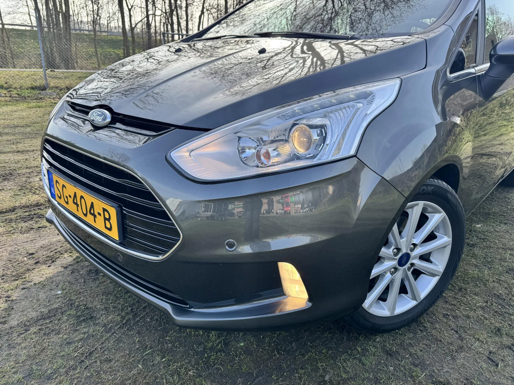 Hoofdafbeelding Ford B-MAX