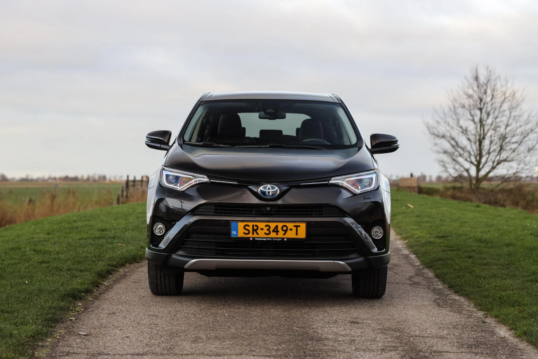 Hoofdafbeelding Toyota RAV4