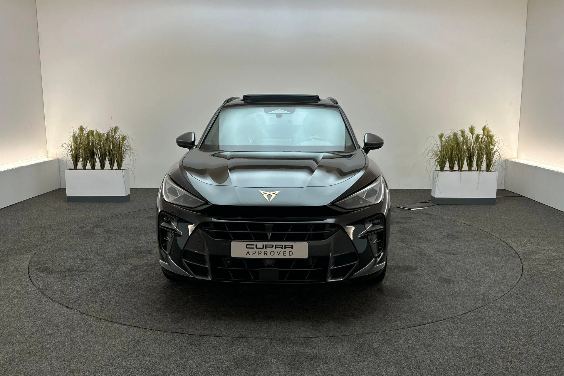 Hoofdafbeelding CUPRA Terramar