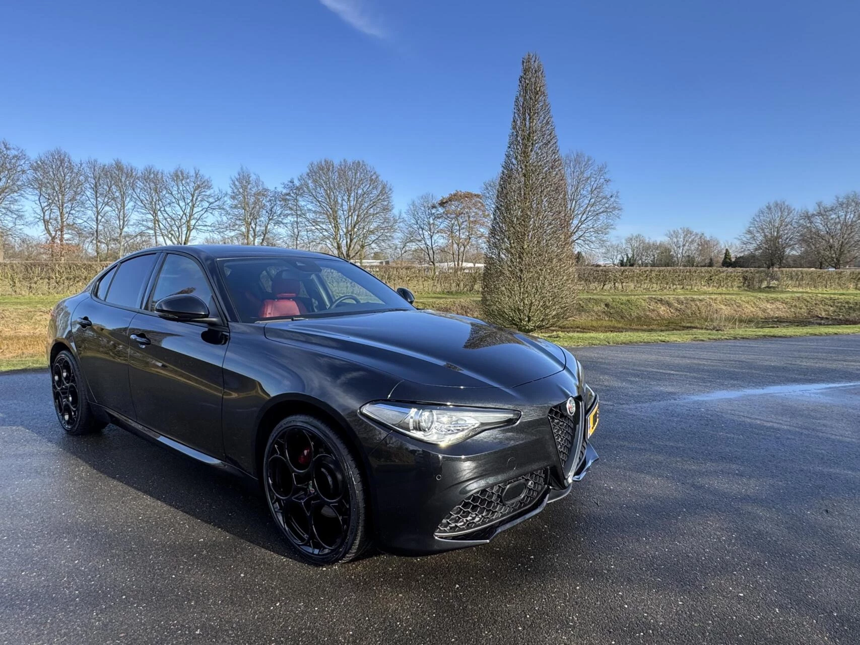 Hoofdafbeelding Alfa Romeo Giulia