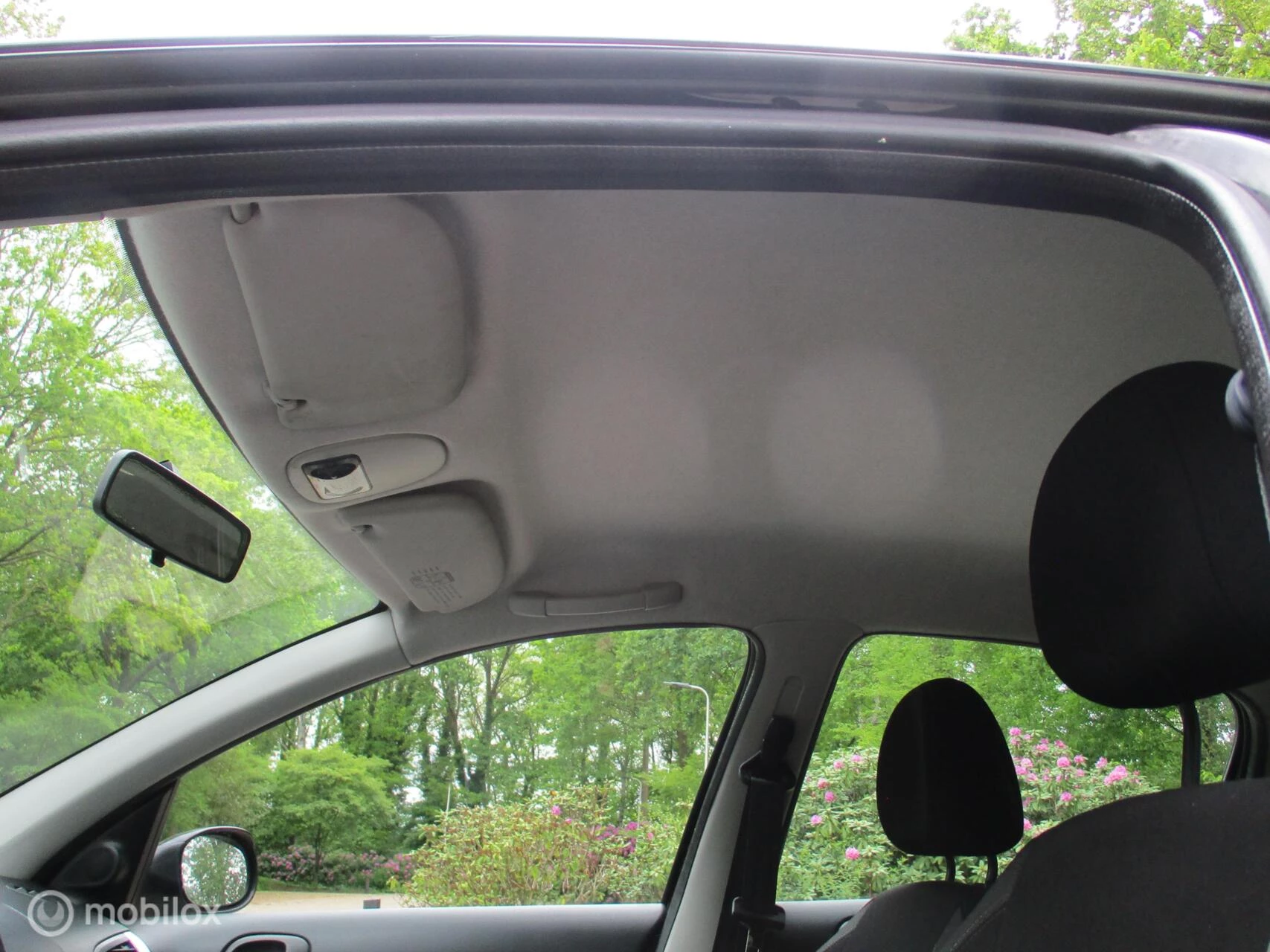 Hoofdafbeelding Peugeot 206