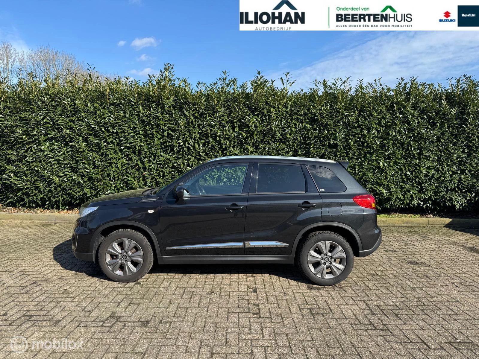 Hoofdafbeelding Suzuki Vitara