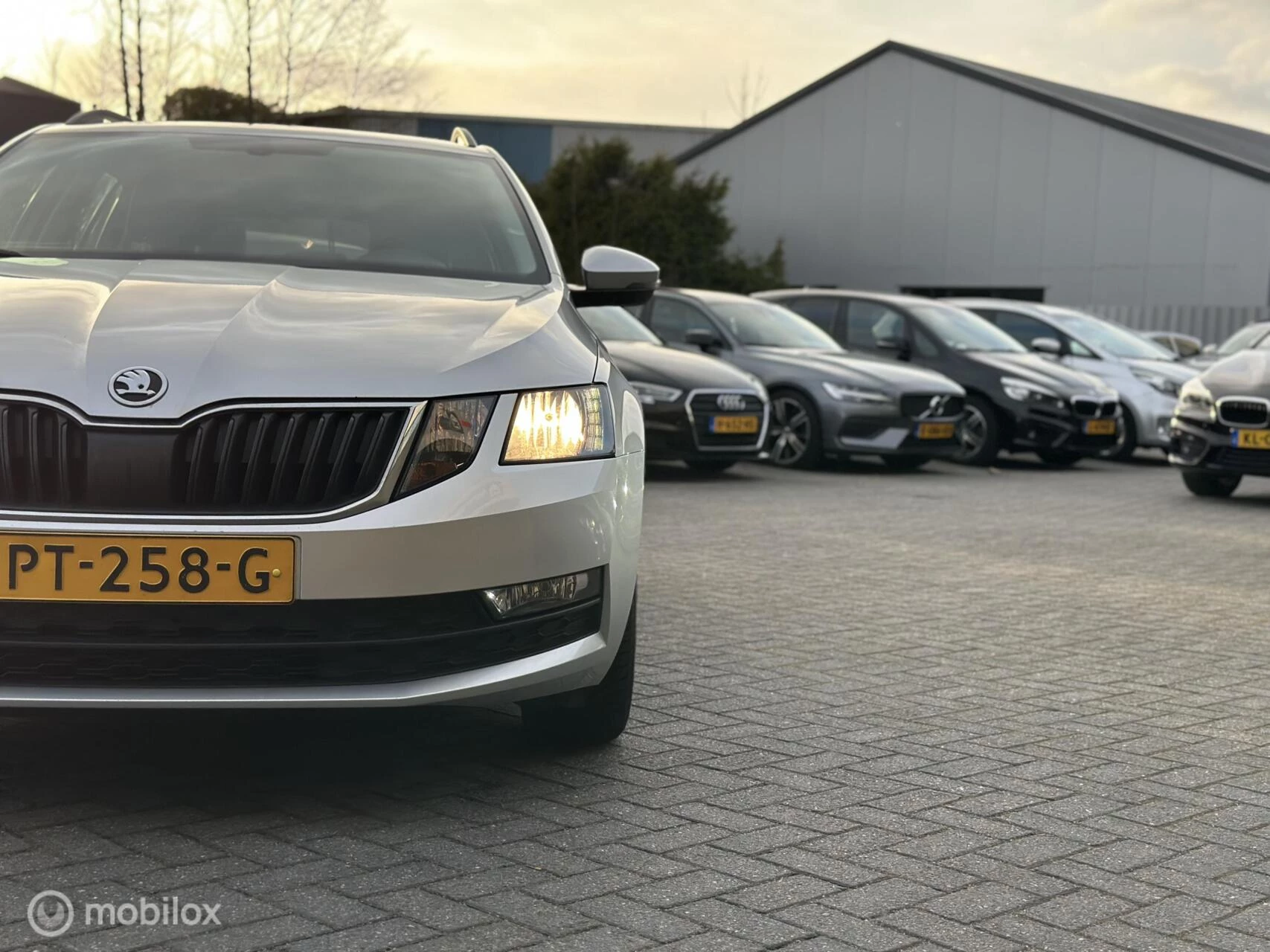 Hoofdafbeelding Škoda Octavia