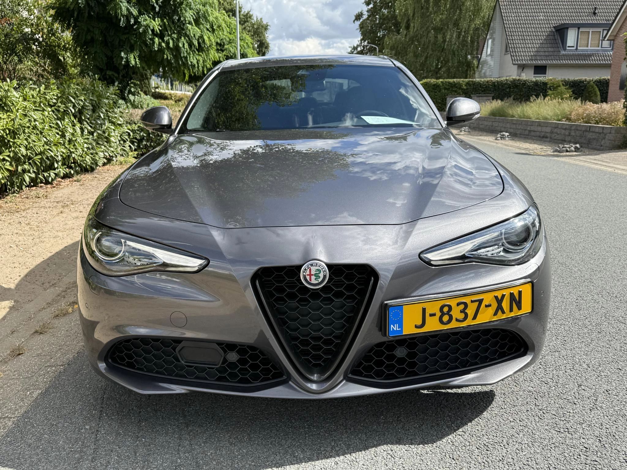 Hoofdafbeelding Alfa Romeo Giulia