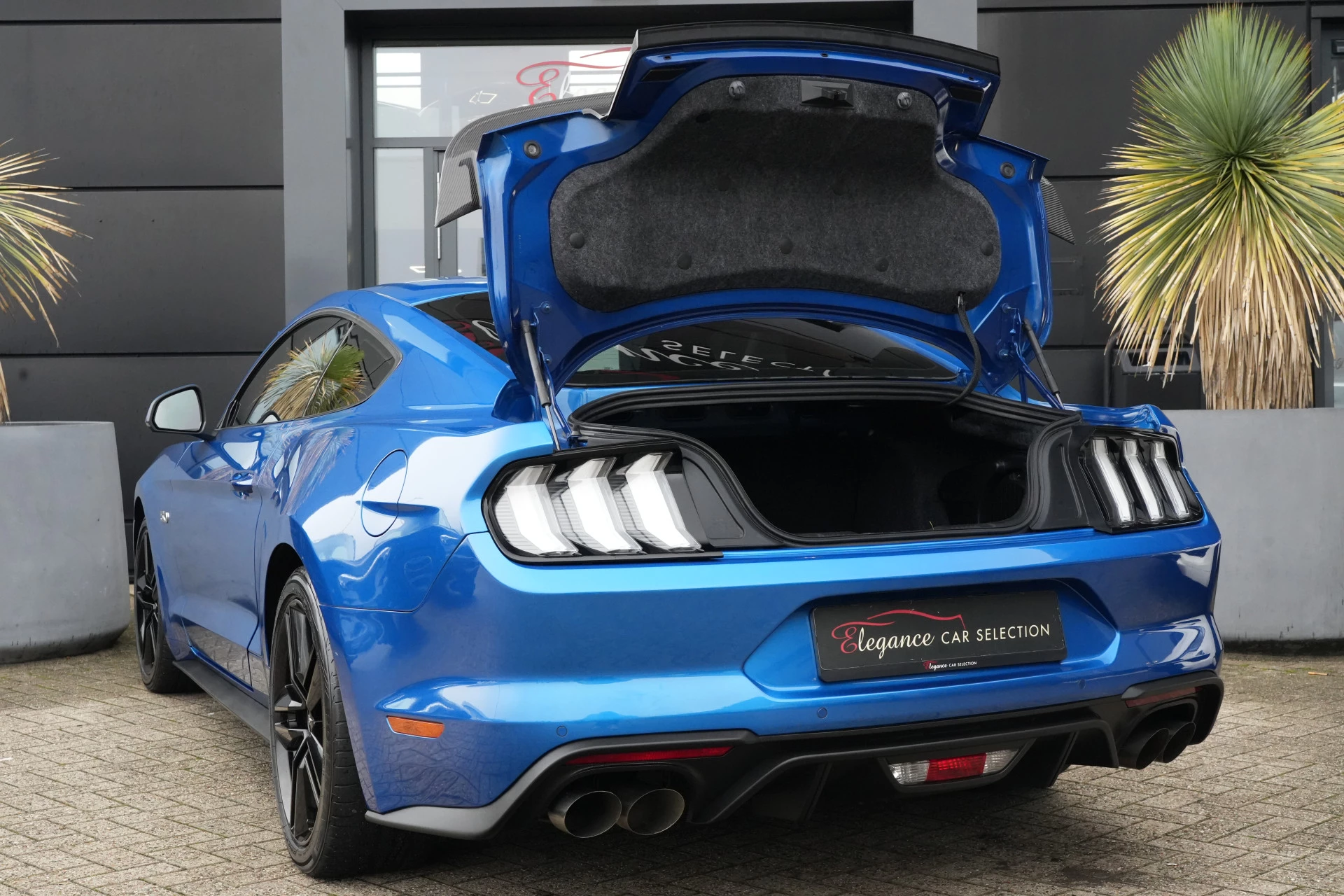 Hoofdafbeelding Ford Mustang