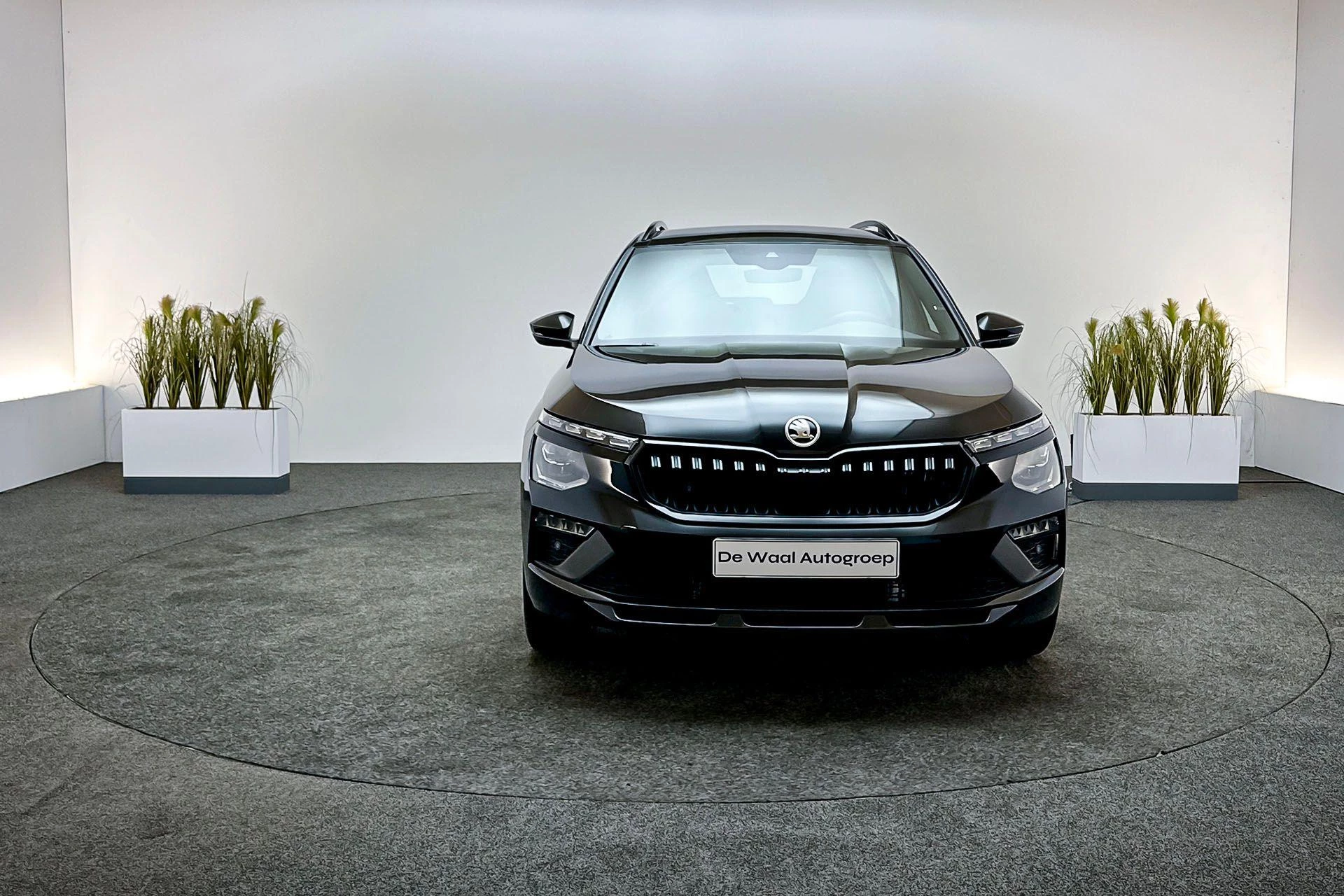 Hoofdafbeelding Škoda Kamiq