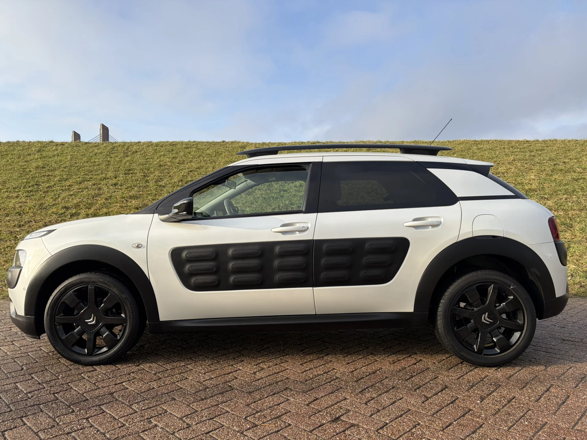 Hoofdafbeelding Citroën C4 Cactus