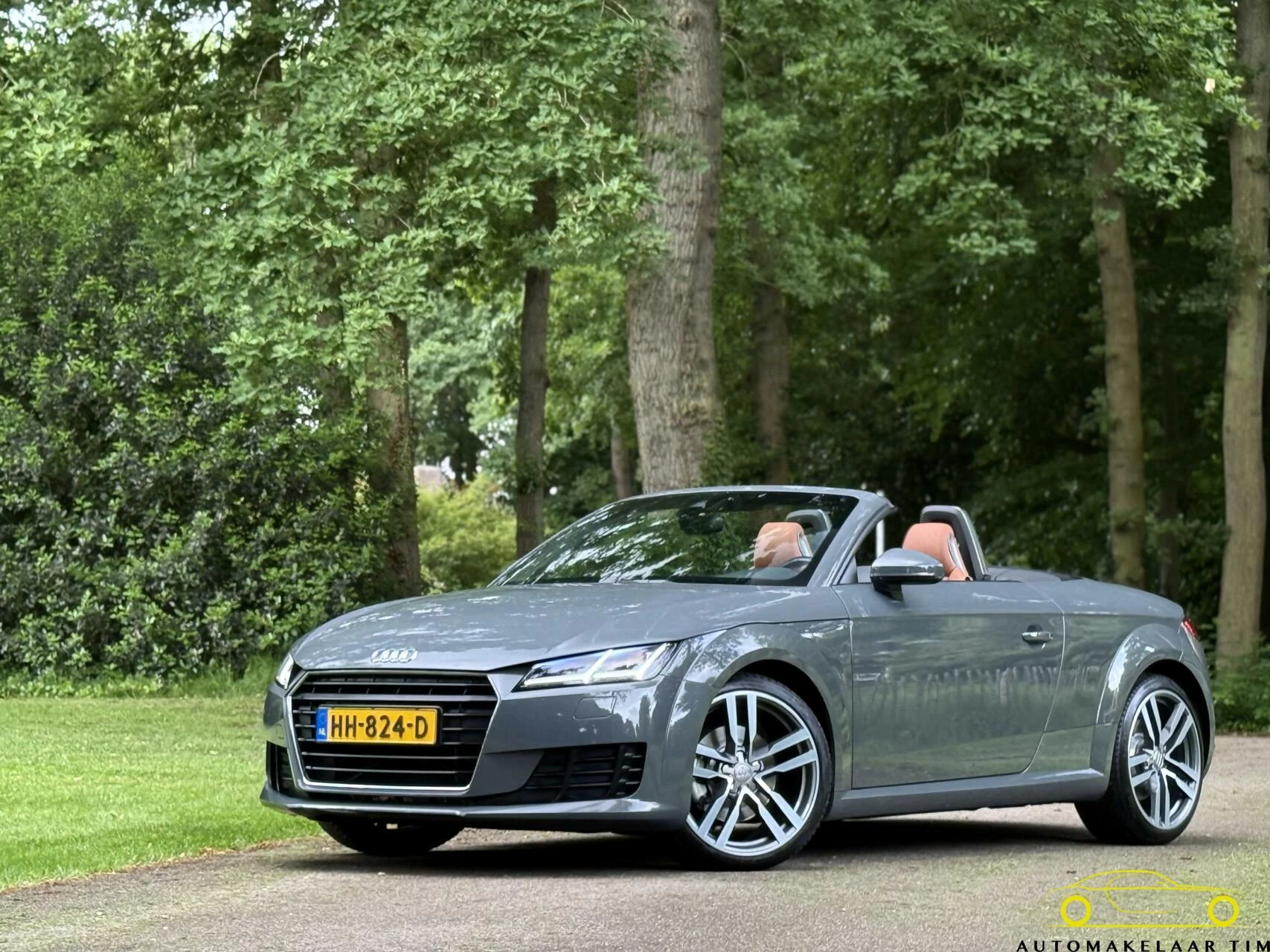 Hoofdafbeelding Audi TT