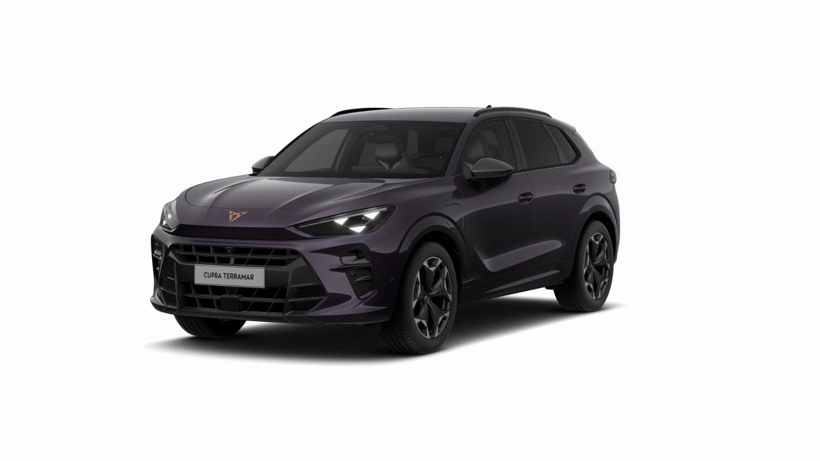 Hoofdafbeelding CUPRA Terramar