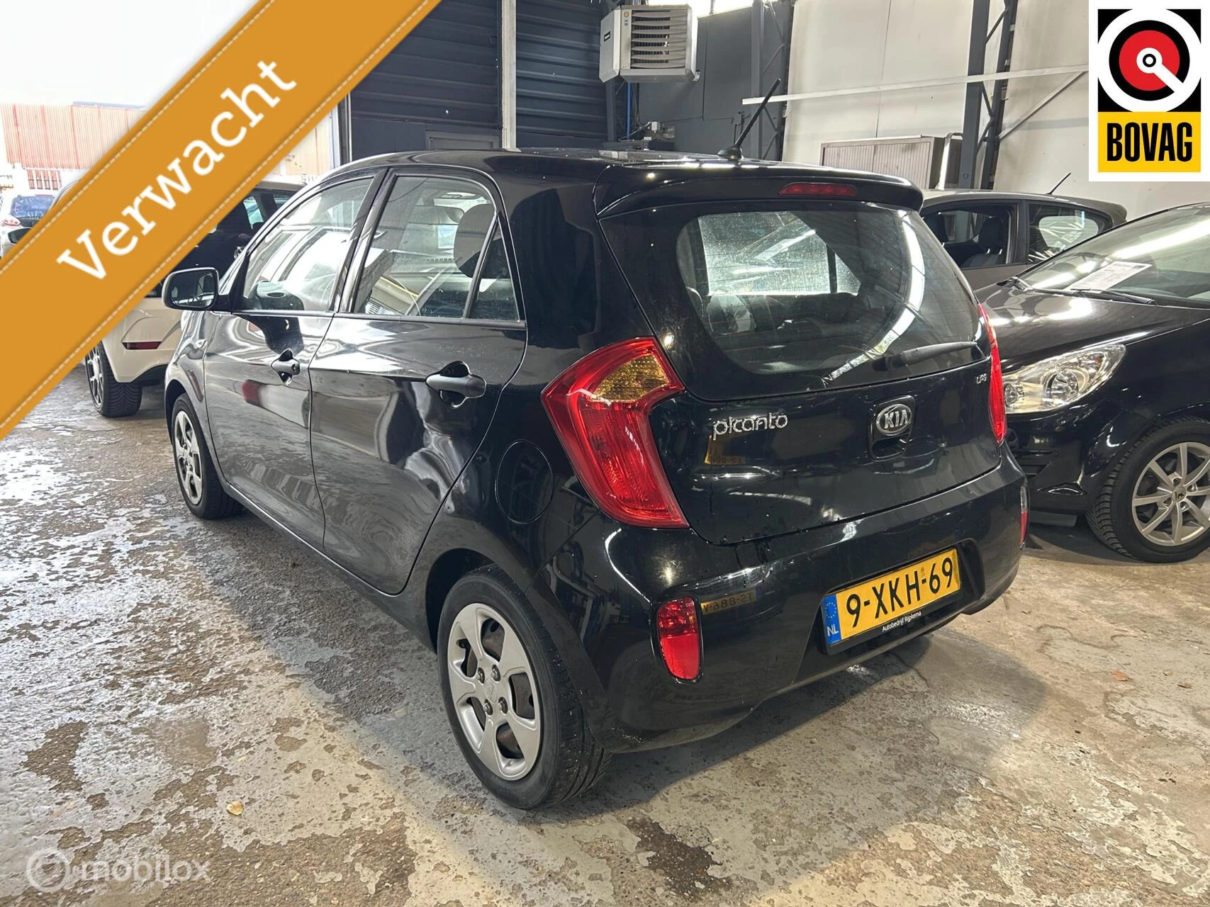 Hoofdafbeelding Kia Picanto