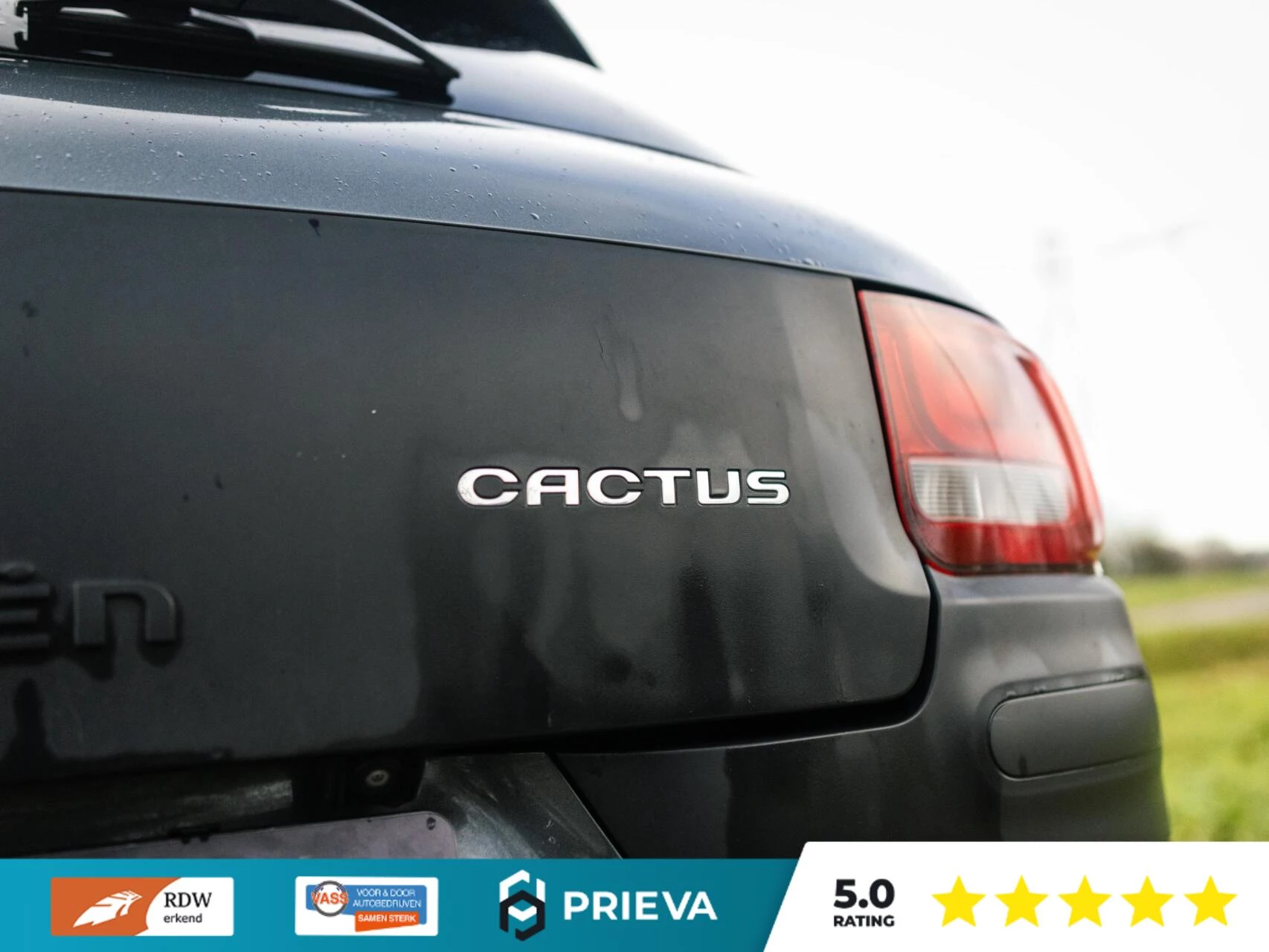 Hoofdafbeelding Citroën C4 Cactus